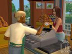 The Sims: Житейские истории