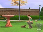 PS2  The Sims 2 Pets