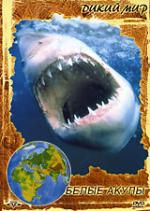 Дикий мир: Белые акулы
