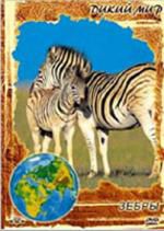 Дикий мир: Зебры