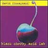 David Fiuczynski: Black cherry acid lab