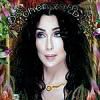 Cher: Gold 2cd