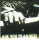 Children Of Bodom: Are You Dead Yet?
